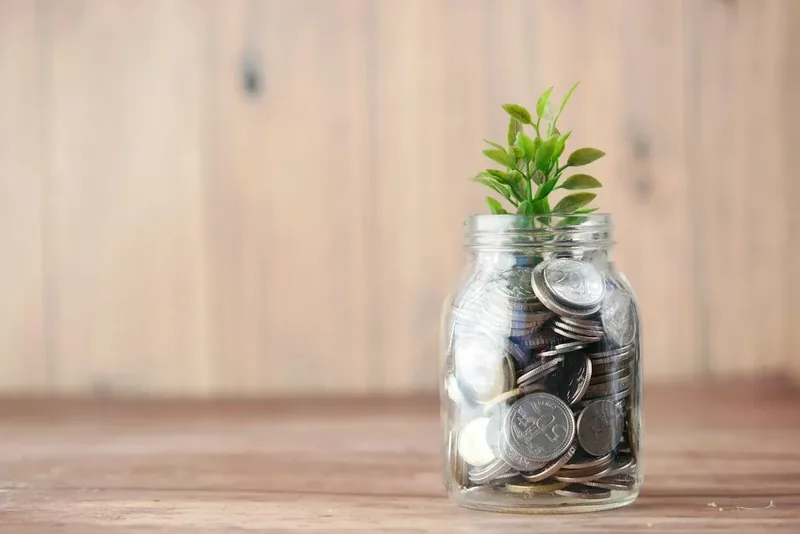Glass jar of coins with a green sprout growing from the top